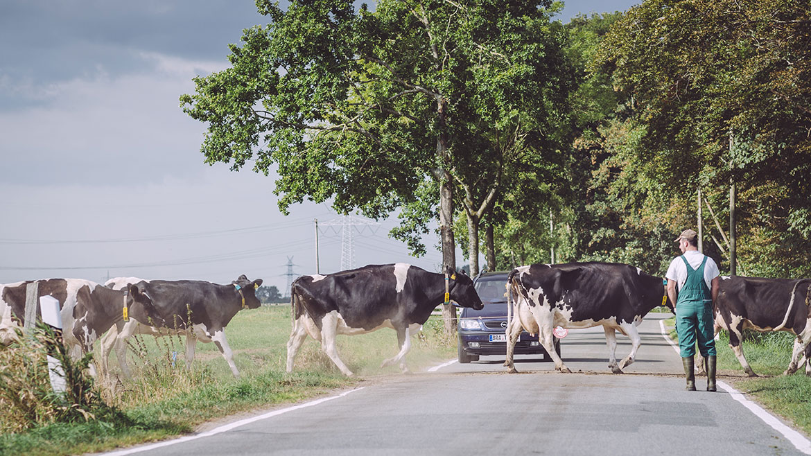 Foto aus Nordpol in Niedersachsen für unseren Reiseblog über das Landleben