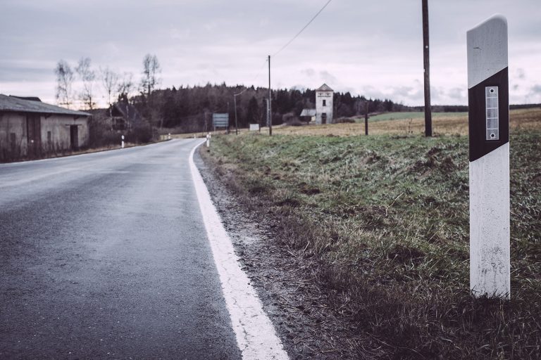 Bärenrode (Güntersberge, Harz, SachsenAnhalt) Landlinse