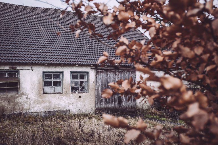 Bärenrode (Güntersberge, Harz, SachsenAnhalt) Landlinse