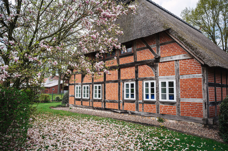 Mehr über den Artikel erfahren Sudwalde