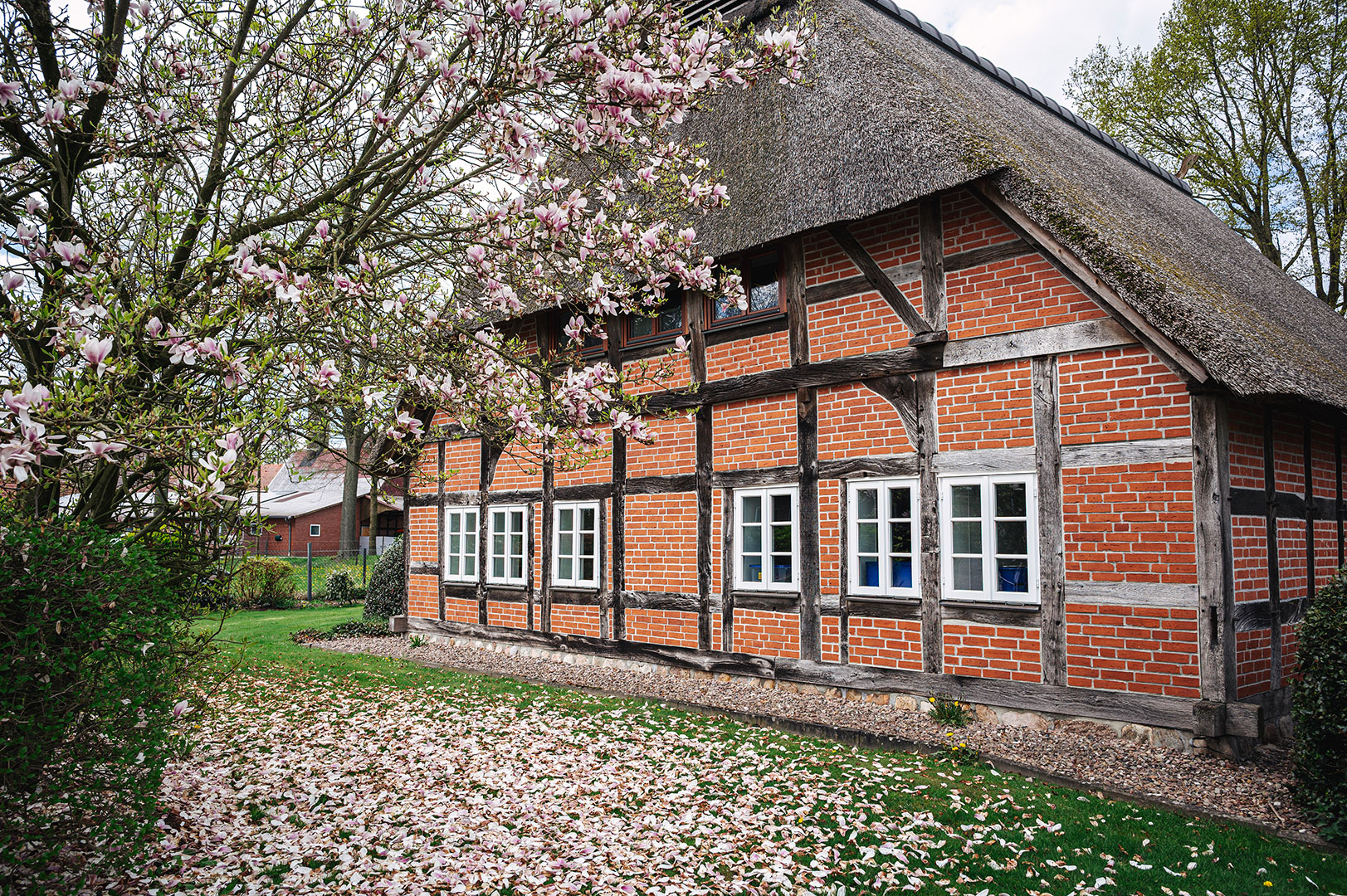 Du betrachtest gerade Sudwalde